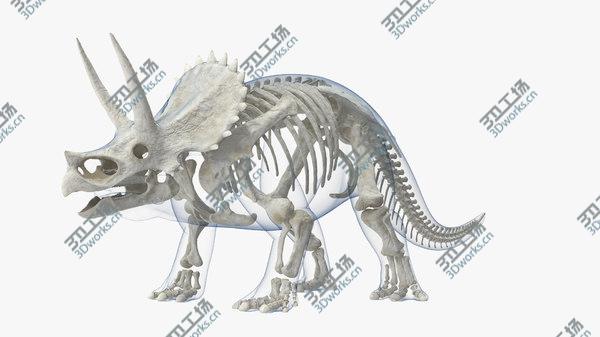 images/goods_img/20210312/Triceratops Skeleton with Transparent Skin Rigged 3D model/2.jpg
